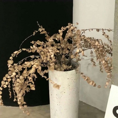 克山福瑞交流群